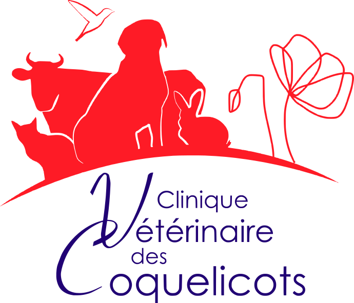 Accueil Clinique Vétérinaire Des Coquelicots - 