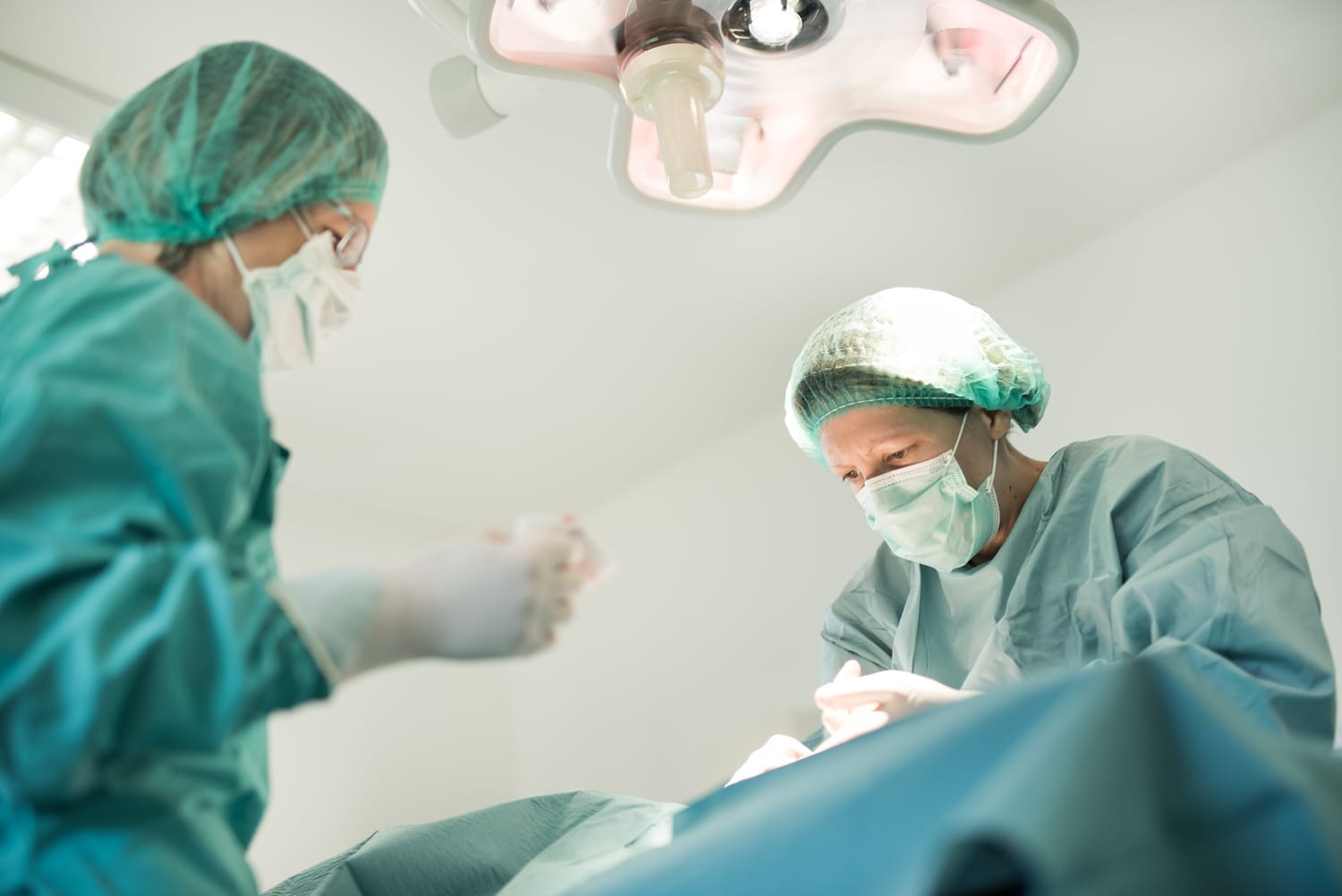 Les équipements Clinique Vétérinaire Des Coquelicots - 