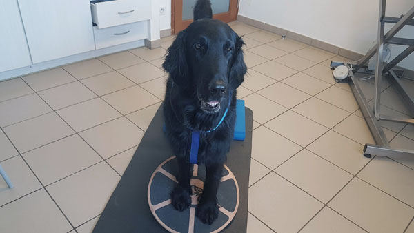patient sur un tapis de rééducation